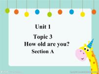 仁爱科普版七年级上册Topic 3 How old are you?教学ppt课件