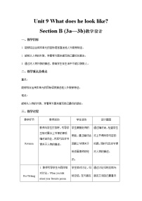 初中英语人教新目标 (Go for it) 版七年级下册Section B第3课时教案设计