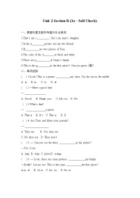 初中人教新目标 (Go for it) 版Section B课时练习