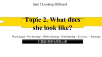 初中英语仁爱科普版七年级上册Unit 2 Looking differentTopic 2 What does she look like?备课ppt课件