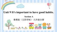 鲁教版 (五四制)九年级全册Section A背景图课件ppt