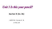 人教新目标 (Go for it) 版七年级上册Section B课文内容ppt课件