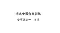 人教版九年级英语下知识专项训练1 名词习题课件