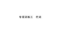 人教版九年级英语下知识专项训练3 代词习题课件