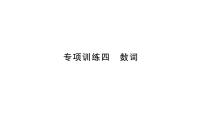 人教版九年级英语下知识专项训练4 数词习题课件