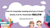 初中英语人教新目标 (Go for it) 版九年级全册Section A完美版课件ppt