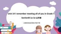 英语九年级全册Section B优秀ppt课件