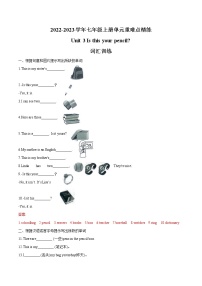 Unit 3  2022-2023学年七年级上册单元重难点精练 (词汇+语法+单元检测卷)