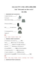 Unit 7  2022-2023学年七年级上册单元重难点精练 (词汇+语法+单元检测卷)