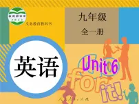 人教新目标 (Go for it) 版九年级全册Section A备课课件ppt