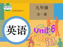 初中英语人教新目标 (Go for it) 版九年级全册Section A图文课件ppt