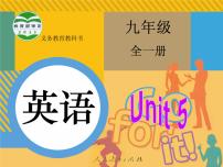 人教新目标 (Go for it) 版九年级全册Section A课堂教学课件ppt