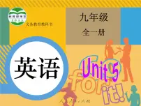 人教新目标 (Go for it) 版九年级全册Section A课堂教学课件ppt