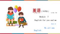 初中英语外研版 (新标准)九年级下册Unit 2 We all own English.精品ppt课件