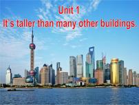 初中英语外研版 (新标准)八年级上册Unit 1 It's taller than many other buildings.教学课件ppt