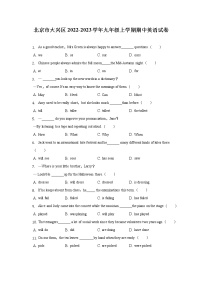 北京市大兴区2022-2023学年九年级上学期期中英语试卷(含答案)