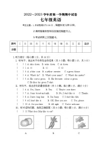 甘肃省白银市景泰县景泰县第四中学2022-2023学年七年级上学期11月期中英语试题（含答案）