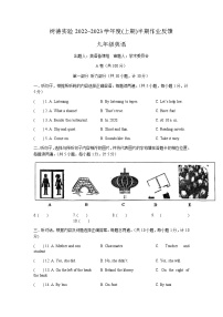 四川省成都市树德实验中学2022-2023学年九年级上学期期中英语试题