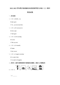 四川省成都市双语实验学校2022-2023学年九年级（上学期）期中英语试卷