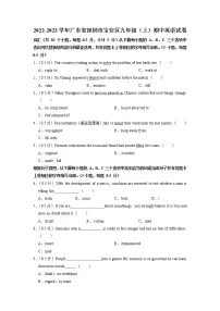 广东省深圳市宝安区2022-2023学年九年级(上学期)期中英语试卷(含答案)
