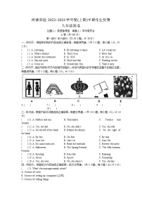 四川省成都市树德实验中学2022-2023学年九年级上学期期中英语试题（含答案）