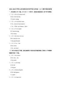 山东省泰安市东平县2022-2023学年七年级（上学期）期中英语试卷(含答案)