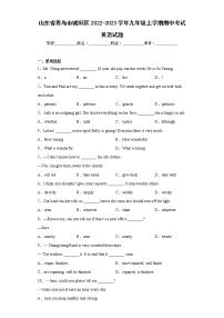 山东省青岛市城阳区2022-2023学年九年级上学期期中考试英语试题 (含答案)