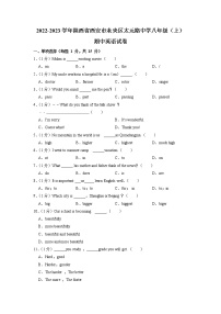 陕西省西安市未央区太元路中学2022-2023学年八年级（上学期）期中英语试卷（含答案）