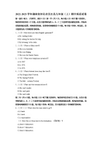 湖南省怀化市芷江县2022-2023学年九年级上学期期中英语试卷（含答案）