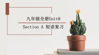 人教新目标 (Go for it) 版九年级全册Section A复习ppt课件