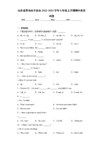 山东省青岛市平度市2022-2023学年七年级上学期期中英语试题(含答案)