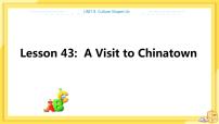 冀教版九年级下册Lesson 43 A Visit to Chinatown评优课课件ppt