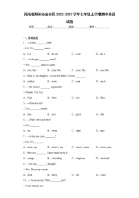 河南省郑州市金水区2022-2023学年七年级上学期期中英语试题(含答案)