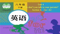 人教新目标 (Go for it) 版八年级下册Section A备课课件ppt