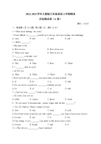 2022-2023学年人教版八年级英语上学期期末达标测试卷（A卷）