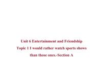 初中英语仁爱科普版九年级下册Topic 1 I would rather watch sports shows than those ones.教课课件ppt