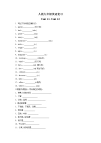 【期末高分必备】人教版英语 九年级上学期——Unit11-Unit12（实战过关）