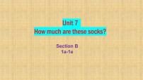 英语七年级上册Unit 7 How much are these socks?Section B图文课件ppt