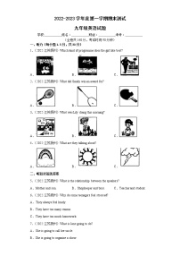 江苏地区2022-2023学年度上学期期末测试-九年级英语试题Ⅳ（扬州卷）