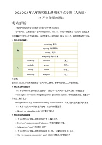 02 不定代词的用法-2022-2023年八年级英语上册期末考点专练（人教版）