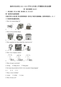 扬州市宝应县2021-2022学年第一学期九年级英语期末试题（含解析）