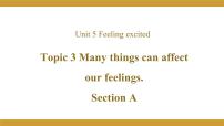 仁爱科普版八年级下册Topic 3 Many things can affect our feelings.教学演示课件ppt