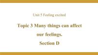 仁爱科普版八年级下册Unit  5  Feeling excitedTopic 3 Many things can affect our feelings.课文配套课件ppt