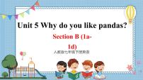 初中英语人教新目标 (Go for it) 版七年级下册Section B评优课课件ppt