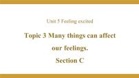 仁爱科普版八年级下册Topic 3 Many things can affect our feelings.教课内容课件ppt