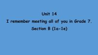 初中英语人教新目标 (Go for it) 版九年级全册Section B教学演示ppt课件