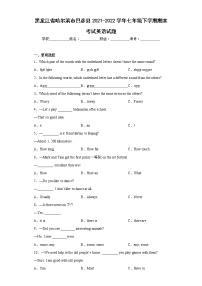 黑龙江省哈尔滨市巴彦县2021-2022学年七年级下学期期末考试英语试题(含答案)