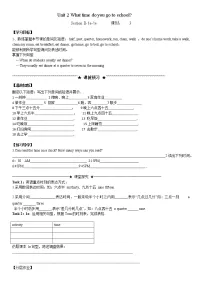 初中英语人教新目标 (Go for it) 版七年级下册Section B学案