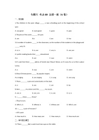 2023年中考英语一轮复习专项练习：专题六 考点09 主谓一致（A卷）