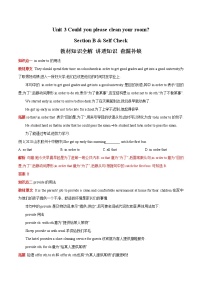 初中英语人教新目标 (Go for it) 版八年级下册Section B导学案